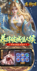 真·战三国  内部号申请 真·战三国（0.1折每日千元代金） 礼包码获取